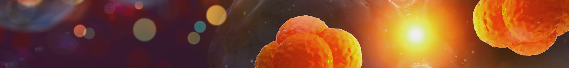 C57BL/6JNifdc mice-SPF (Beijing) Biotechnology Co., Ltd.